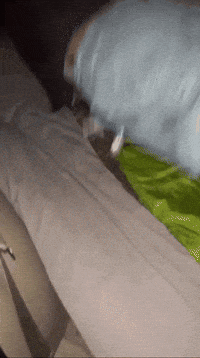 The Worm GIF