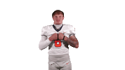 Cnfb Sticker by Carson-Newman Athletics