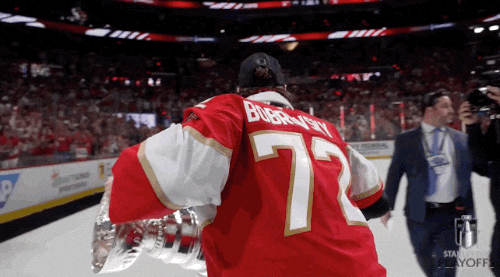 Stanley Cup Playoffs Win GIF by NHL