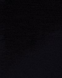 Vasco Da Gama GIF