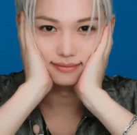Stray Kids Skz GIF