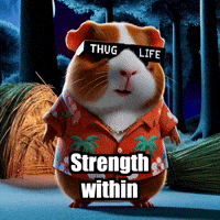 Strength Wisdom GIF by Guinea Gambino