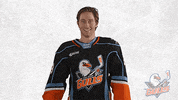 SDGullsAHL happy yes excited yeah GIF