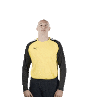 mhbofficiel sport workout handball motivation Sticker