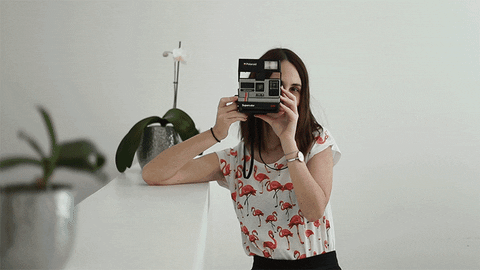 zensations giphyupload retro photography photo GIF