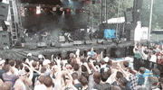 pitchfork music festival whitney GIF by Pitchfork