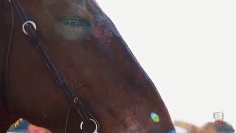 UCentralMO giphygifmaker football college cheer GIF