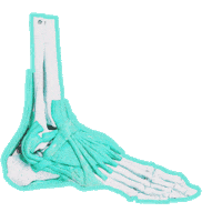 Hobby Lauf Sticker by Universal Music Deutschland