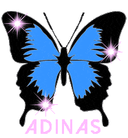 Butterfly Jewelry Sticker by Adinas Jewels
