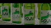 2 chainz soju GIF by Republic Records