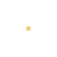 Star Sparkling Sticker