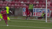 Sean Stewart Celebration GIF by Cliftonville Football Club