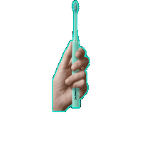 Brush Toothbrush Sticker by Dr.Dento