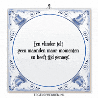 Humor Nl GIF by Tegelspreuken.nl