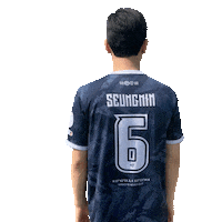 Football Sport Sticker