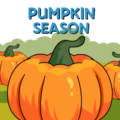 Its Fall Sticker by Ordinary Frends