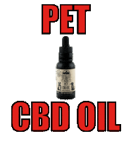 Cat Dog Sticker by info@ourlifecbd.com