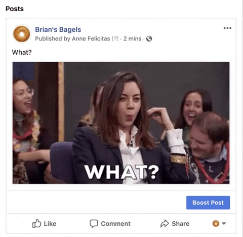 annefelicitas giphyupload GIF