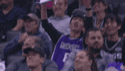 happy sacramento kings GIF by NBA