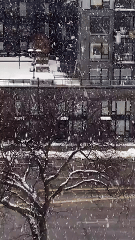 'Crazy Big' Snowflakes Fall on Minneapolis