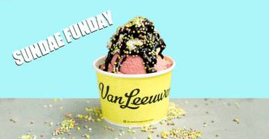 vanleeuwenicecream  GIF