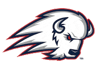 Dsu Sticker by Utah Tech University