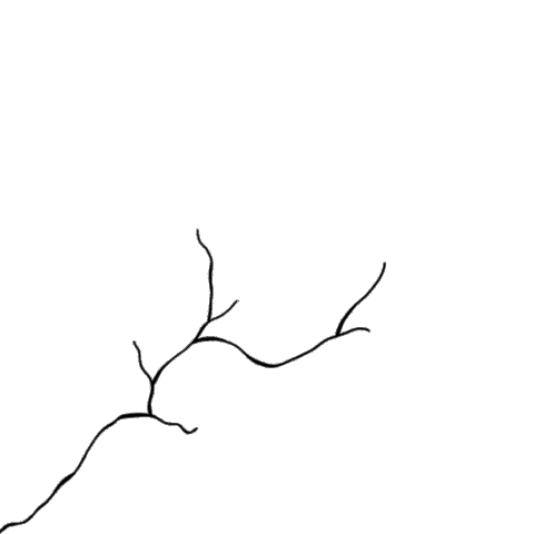 Flower Growth Sticker by WanderwerkCreative