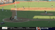 gostanford  GIF