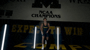 Ncaa Seltzer GIF by Mizzou Athletics
