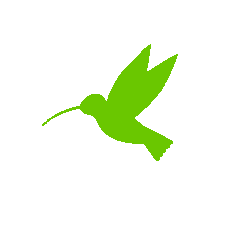 italy2volt giphyupload green hummingbird colibri Sticker