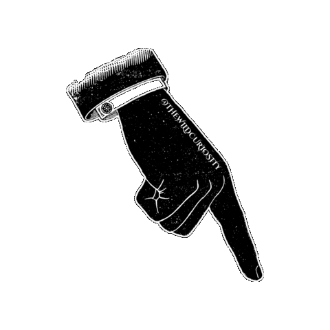 Sign Language Arrow Sticker by The Wild Curiosity