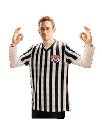 Referee Bullseye Sticker by Bad Axe Throwing