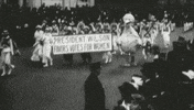 muppetwiki muppets GIF