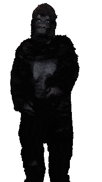 Frank Sticker by Online Monkeys