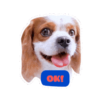 Cavalierkingcharlesspaniel Sticker