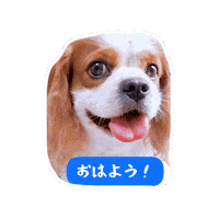Cavalierkingcharlesspaniel Sticker