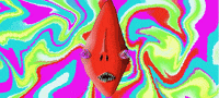 Animation Loop GIF