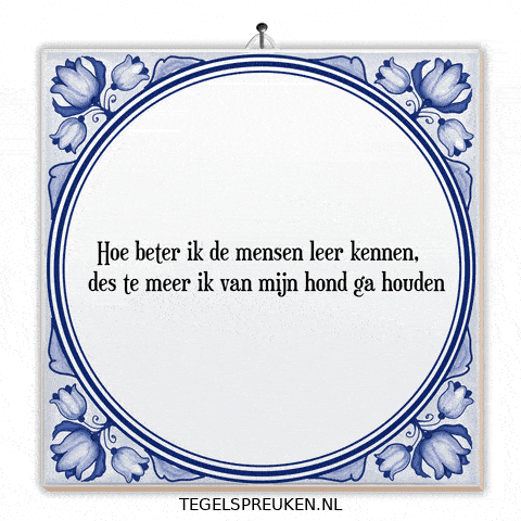 Humor Wijsheid GIF by Tegelspreuken.nl