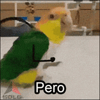 despacito GIF
