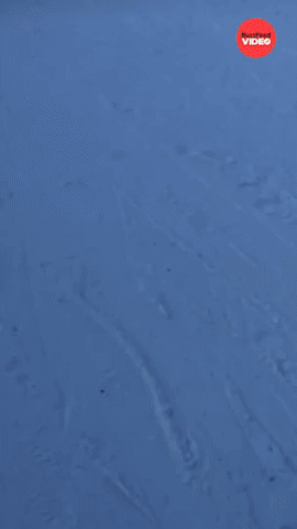 Most impressive thing