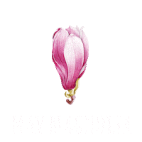 Flower Blooming Sticker by Jon Langston