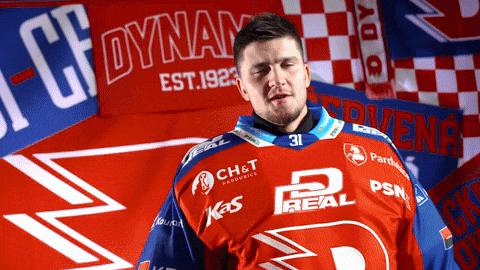 Tomas GIF by HC Dynamo Pardubice