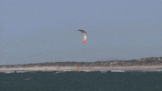 wings high as a kite GIF by Red Bull