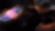 Black Bird Birds GIF by Extreme Improv