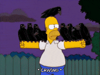 homer simpson GIF