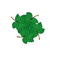 New Post Leaves Sticker by OratorijSlovenija