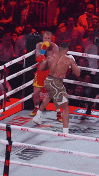 Trendsetter Combatsports GIF by Marcel Katz Dalí / The Art Plug