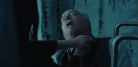 d4441 giphygifmaker GIF