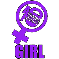 Feminism Girl Power Sticker by Animal Factory