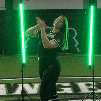 Parkside Softball GIF by Parkside Athletics